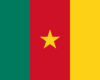 Cameroon-100x80