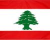 Reesha General Trading Wholesale Foodstuff Supplier Company in Lebanon