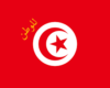 Tunisia-100x80