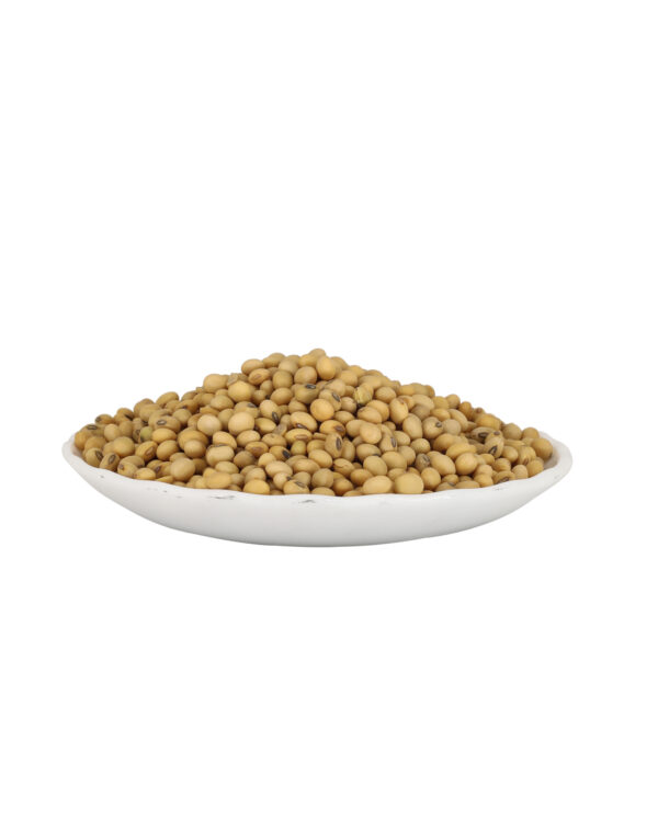 Indian Organic Dried Soya Bean Seeds