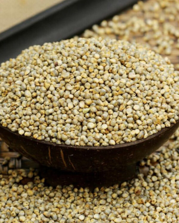 Organic Millets - Bajra Seeds Pearl Millet Animal Bird Healthy Food Bajra Foodstuff Company