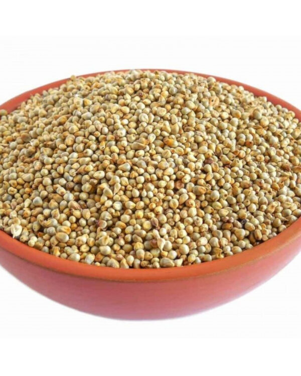 Organic Millets - Bajra Seeds Pearl Millet Animal Bird Healthy Food Bajra UAE