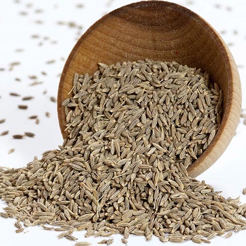 Cumin Seeds - Reesha Wholesale Spices Supplier and Traders Worldwide in Dubai