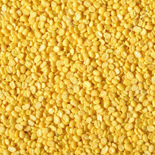 Yellow Moon Dal - Reesha Pulses Supplier Dubai UAE