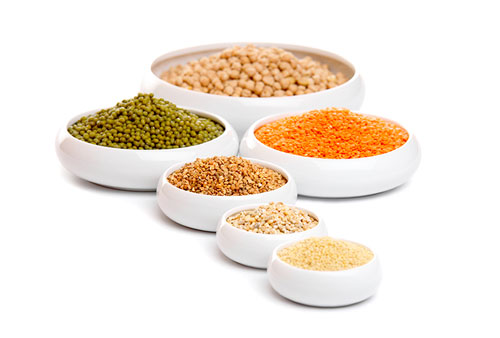 Pulses - Wholesale Food Supplier