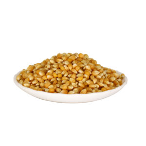 Yellow Corn - Maize - Animal Feeds