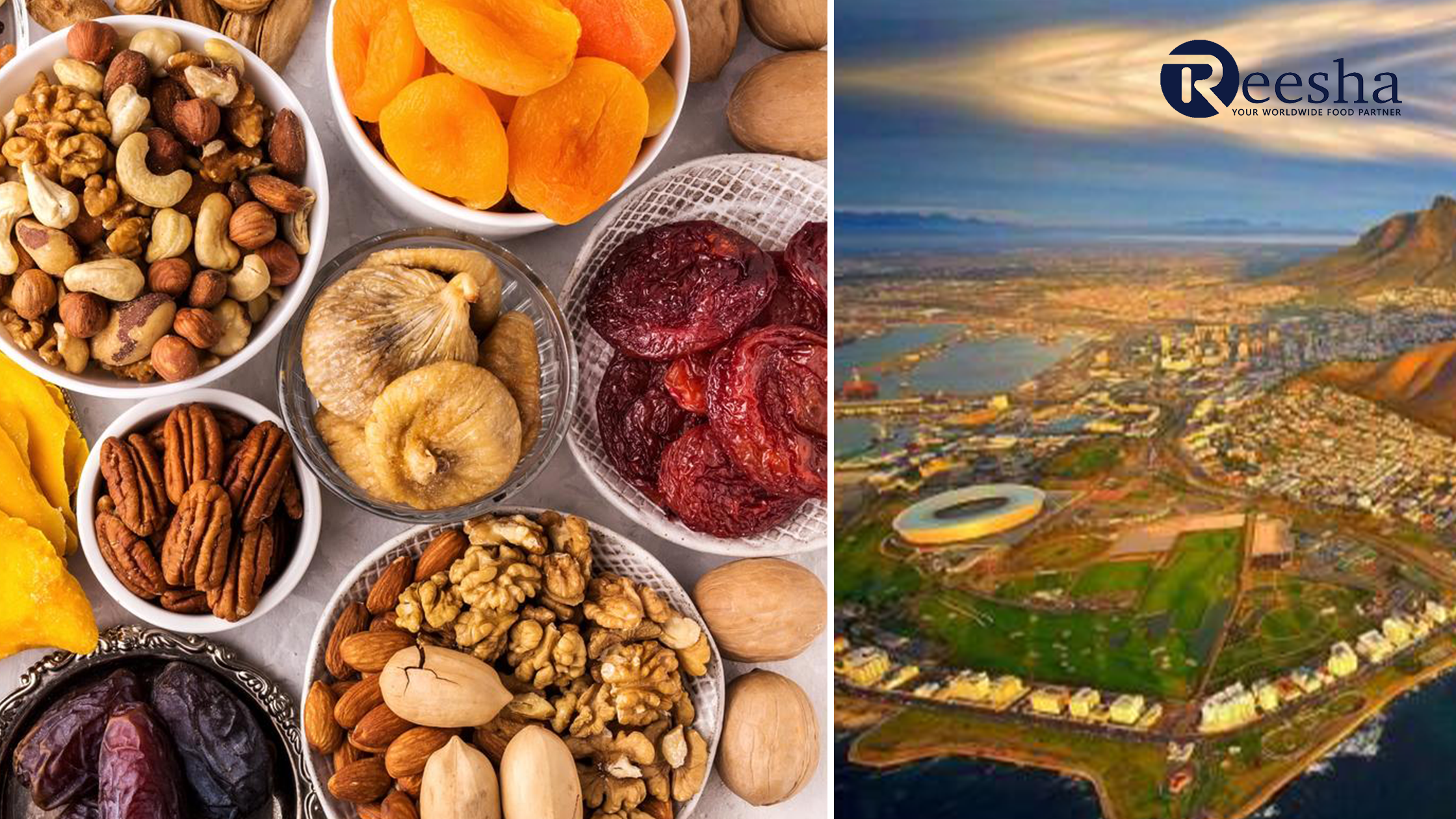 Wholesale Dry Nuts Supplier in Africa