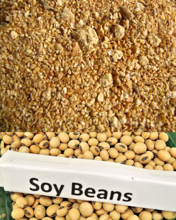 Soya Bean Animal Feed