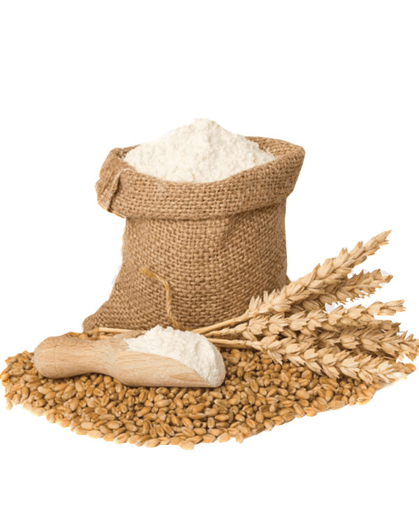 Wheat Flour All Purpose