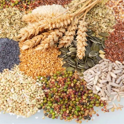 The Importance of Reliable Foodstuff Distribution in the Middle East – And How Reesha Dubai Leads the Way