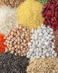 Food-Grains
