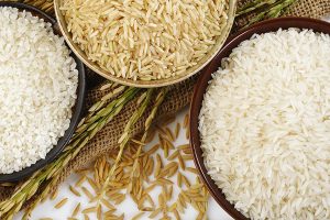 How-do-I-start-rice-export-business-in-india